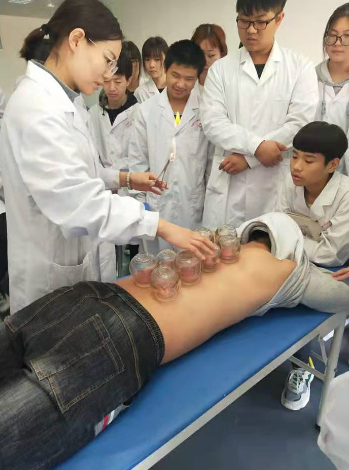 1767145420183600.png 石家庄白求恩医学院中医康复保健.png