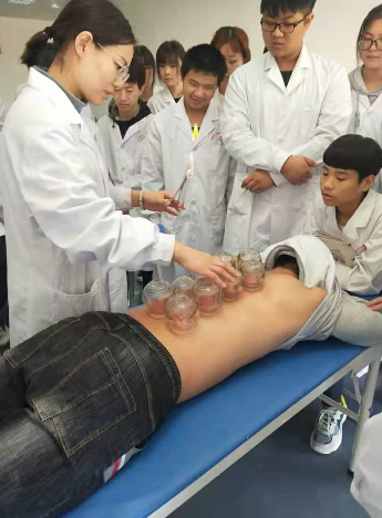 中医康复技术专业.png 中医康复技术专业.png